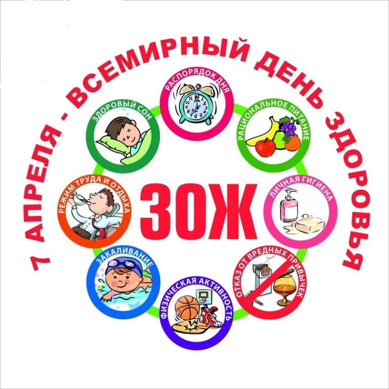 Неделя здорового образа жизни