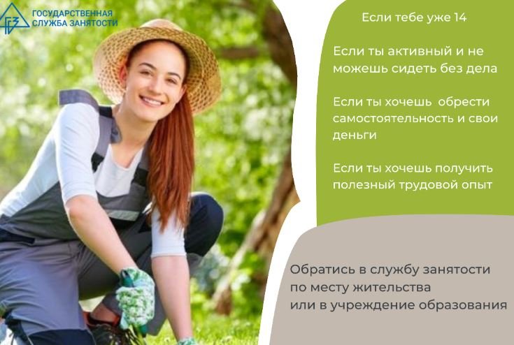 Трудовая занятость
