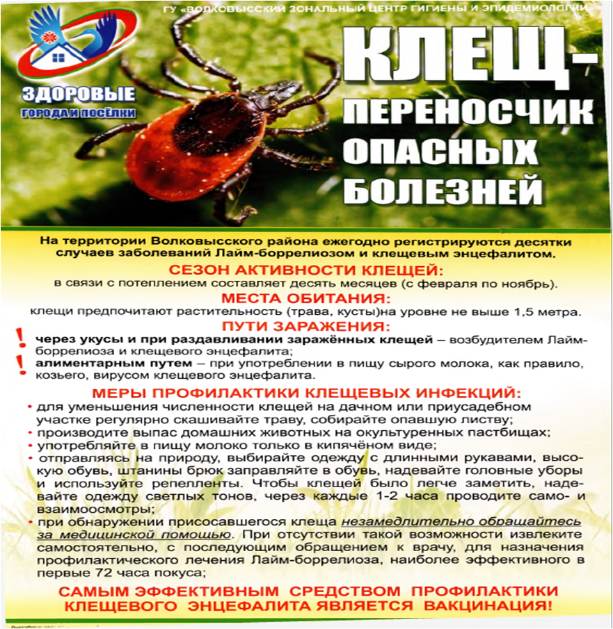 Сезон активности клещей